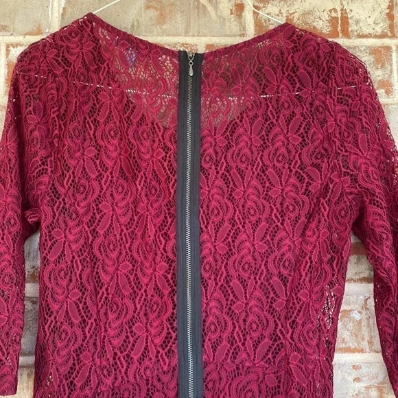 Fishbowl Berry Lace Fit And Flair Dress - Picture 10 of 10